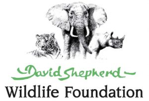 david shepherd wildlife foundation logo